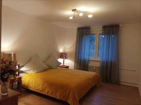 Tannenhuegel Residenz Langelsheim